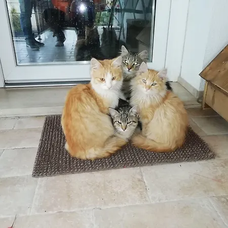 La Nuova Dimora Bed & Breakfast