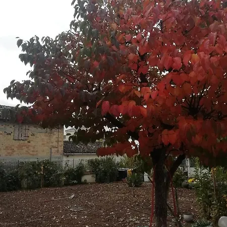 Bed & Breakfast La Nuova Dimora 3*