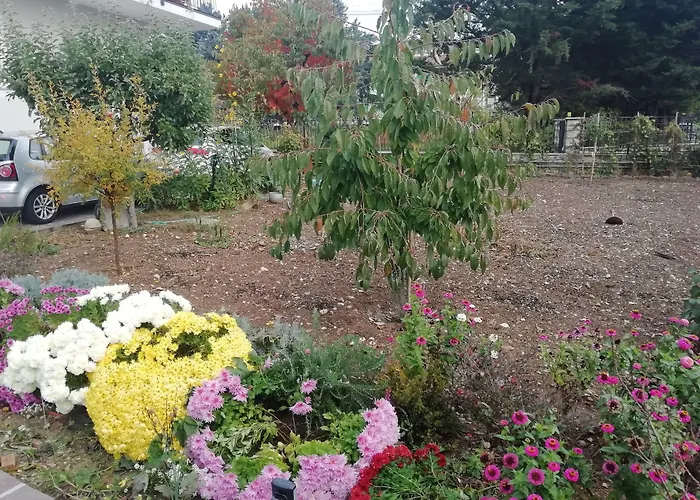 La Nuova Dimora LʼAquila