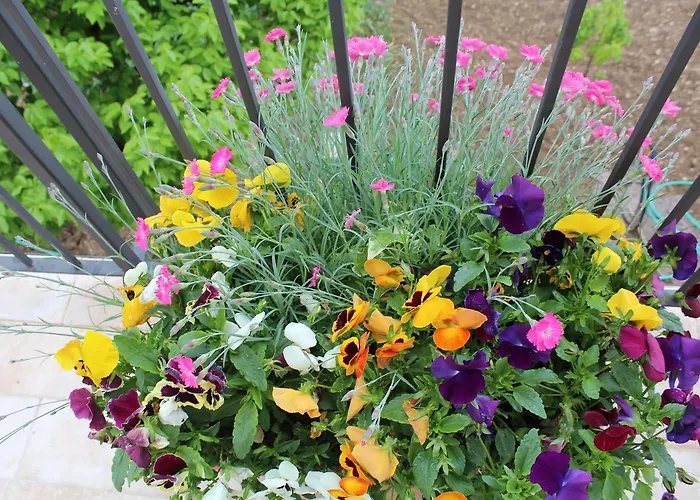 La Nuova Dimora Λ' Άκουιλα